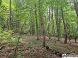 5162 Whig Street - Photo 8