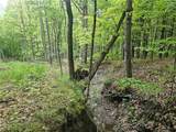 2049 State Route 245 - Photo 10