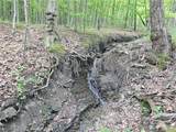 2049 State Route 245 - Photo 7