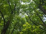  Sherman Hollow Road - Photo 12