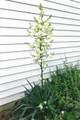 17 Hickok Ave - Photo 9