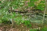 4 Red Cedar Falls Lane - Photo 11
