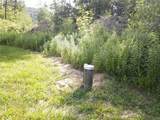 179 White Hollow Road - Photo 38