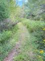 L11 Mountain Pond View Road - Photo 28