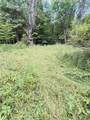 L11 Mountain Pond View Road - Photo 33