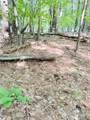 L11 Mountain Pond View Road - Photo 38