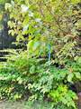 2592 County Highway 8 - Photo 6