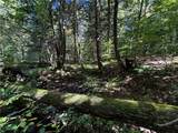 185 Kaine Road - Photo 12