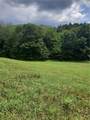 TBD Lower Dingle Hill Road - Photo 40
