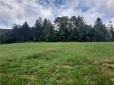 TBD Lower Dingle Hill Road - Photo 45