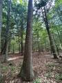 270 Collins Gifford Valley Road - Photo 19