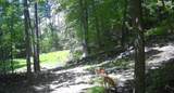 8302 Wesley Road - Photo 28