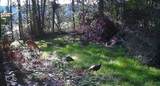 8302 Wesley Road - Photo 30