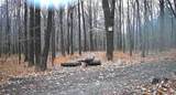 8302 Wesley Road - Photo 9