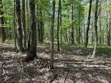 16 Deer Pond - Photo 11