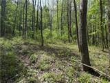 16 Deer Pond - Photo 4