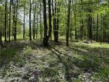 16 Deer Pond - Photo 5