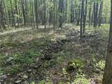16 Deer Pond - Photo 7