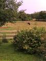 6199 County Highway 16 - Photo 49