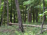 1592 Emerson Road - Photo 7
