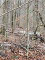 0 Schlafer Road - Photo 9