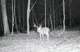 198 Spring Run Road - Photo 25
