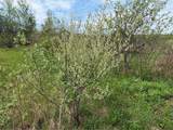  Wahlberg Road - Photo 14