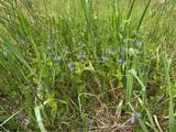  Wahlberg Road - Photo 24