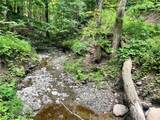 9052 Raspberry - Photo 43