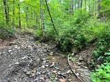 9052 Raspberry - Photo 48