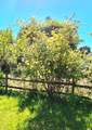 59 Ossian Street - Photo 44