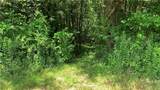 667 Boos Law Road - Photo 39