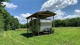 667 Boos Law Road - Photo 45