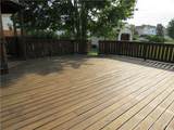 119 Delaina Rose Circle - Photo 9
