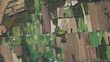 9969 Turnpike Road - Photo 49