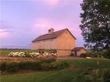 174 Fred Braun Road - Photo 16