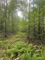 9198 Clendenning Creek Road - Photo 12