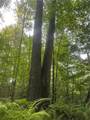 9198 Clendenning Creek Road - Photo 13
