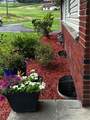 887 Mount Zoar Road - Photo 49