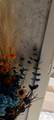 8 Curtis Street - Photo 24