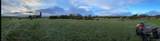 33501 Shimel Road - Photo 21