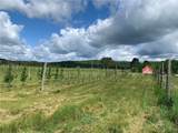 646 State Highway 3 - Photo 13