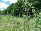 646 State Highway 3 - Photo 21