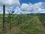 646 State Highway 3 - Photo 24