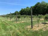 646 State Highway 3 - Photo 28