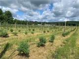 646 State Highway 3 - Photo 29