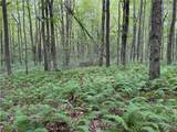 00 Herrick Road - Photo 21