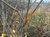  Dry Brook Road - Photo 14