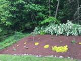 119 Crabapple Lane - Photo 42