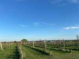 2989 County Route 6 - Photo 29
